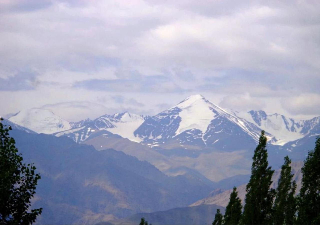 Hotel Ladakh Heaven Leh Buitenkant foto